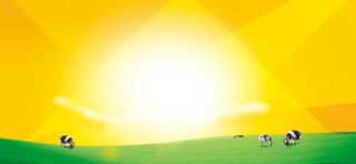 黄色光效背景高清