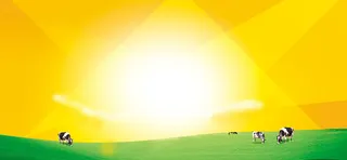 黄色光效背景高清