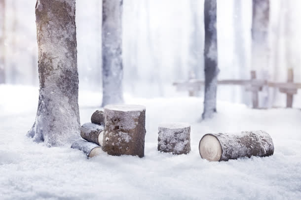 树木枯枝雪景冬天的气息免抠