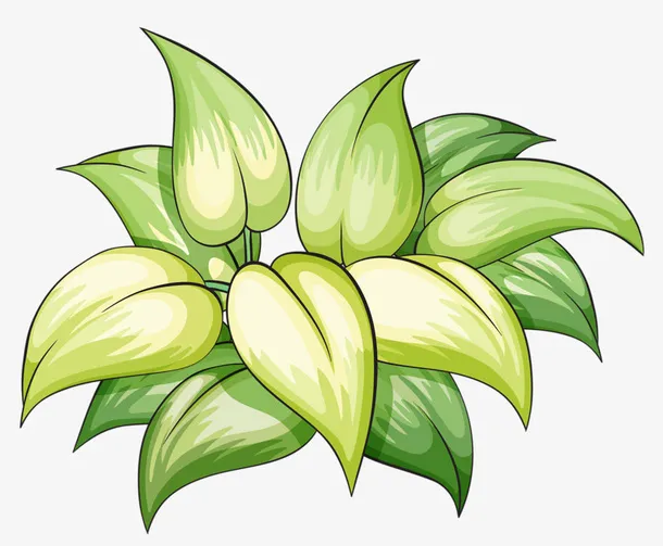 绿色叶子免抠