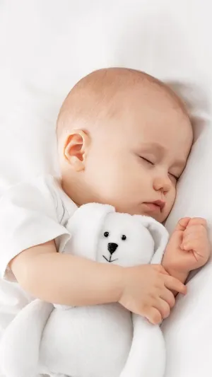 美梦H5背景高清