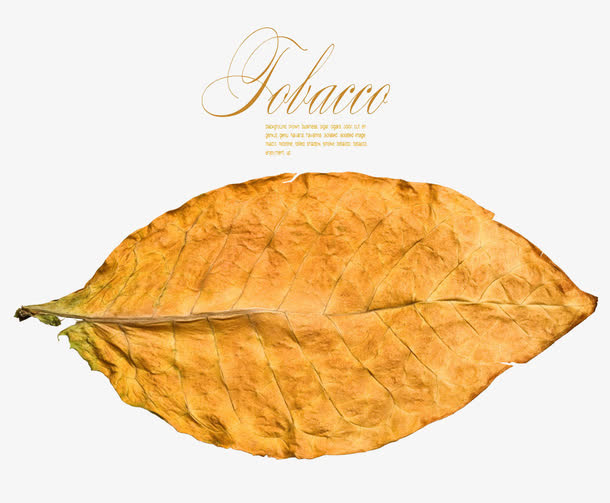 干烟高清免扣素材免抠