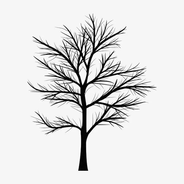 针叶树缠绕的树枝免抠