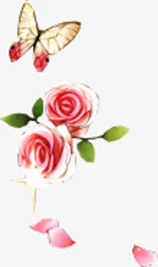 玫瑰花与蝴蝶免抠
