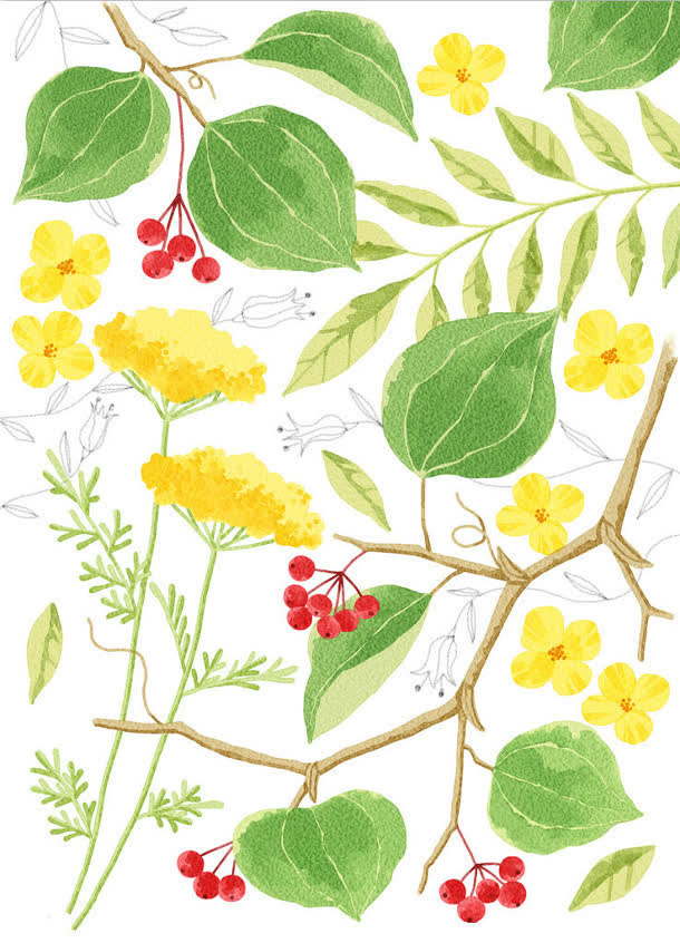 手绘卡通花朵绿叶免抠