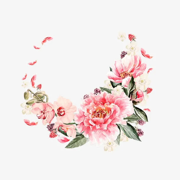 手绘牡丹花免抠