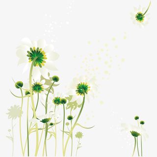 春天清新花免抠