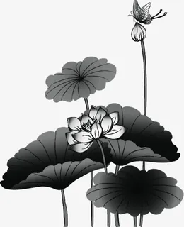 水墨荷叶荷花蝴蝶酒店代金券设计免抠