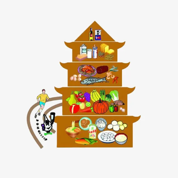 人与膳食金字塔图免抠