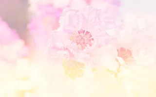 唯美梦幻鲜花背景