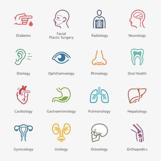 器官图标高清免扣素材免抠