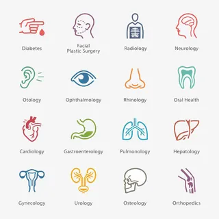 器官图标高清免扣素材免抠