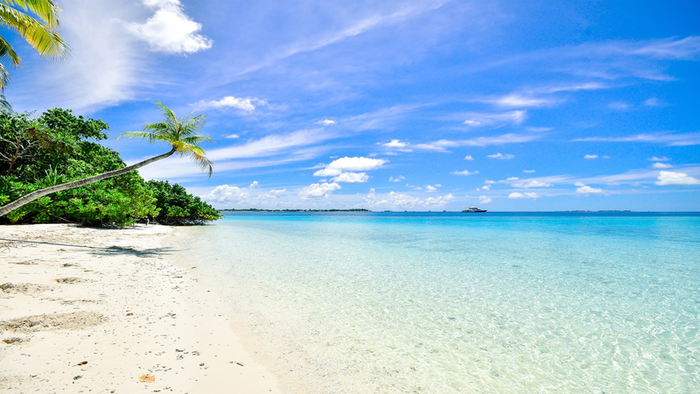 夏日炎炎海滩高清