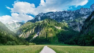 草地,背景,png,素材高清