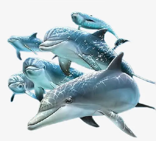鱼免抠