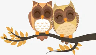 树枝上的情侣猫头鹰免抠