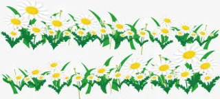 花，花朵，淘宝素材，花絮，白花免抠