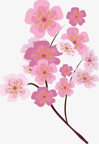 矢量图梅花树枝花瓣免抠