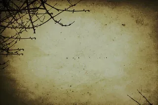 复古怀旧树枝背景