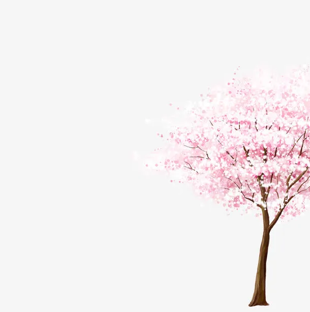 手绘樱花免抠