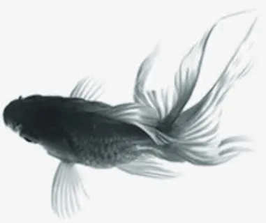 水墨画游动金鱼免抠