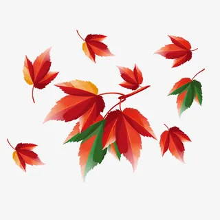 写实拟物风格梧桐树叶矢量免抠