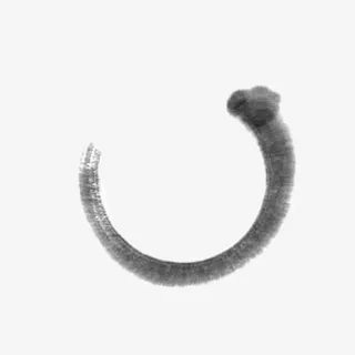 浅色水墨毛笔圈免抠元素免抠