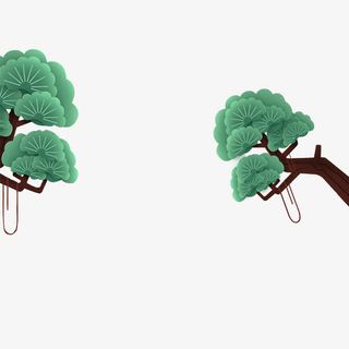 发财树摇钱树免抠