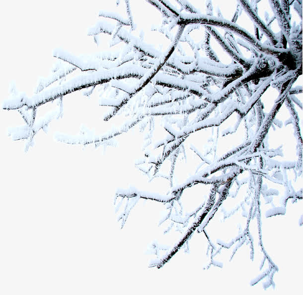 冰雪美景郊外树木免抠
