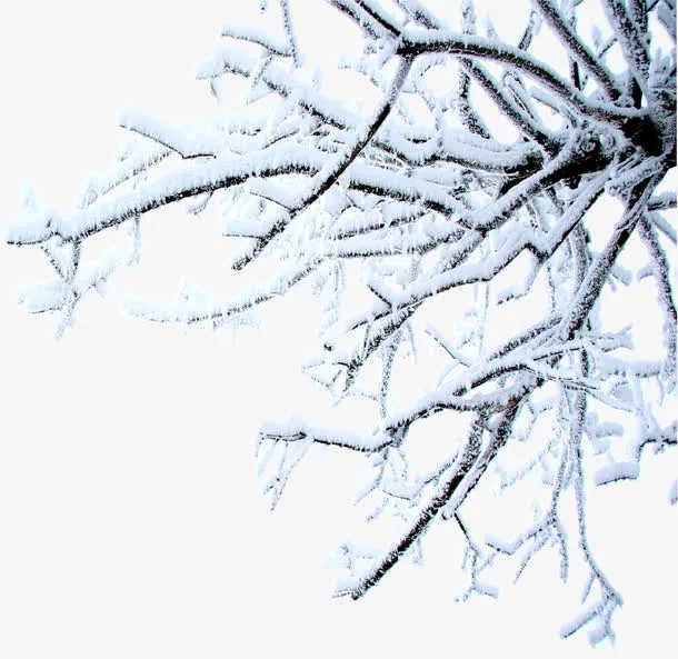 冰雪美景郊外树木免抠