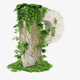 树叶英文字母P免抠