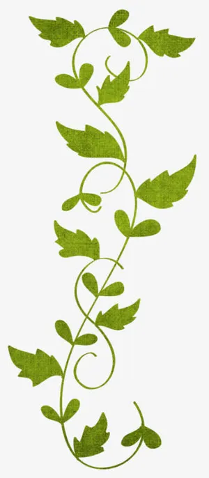 藤野线条装饰免抠