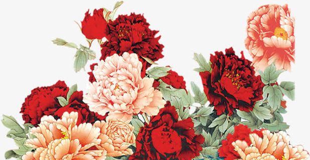粉红色复古新年牡丹花免抠