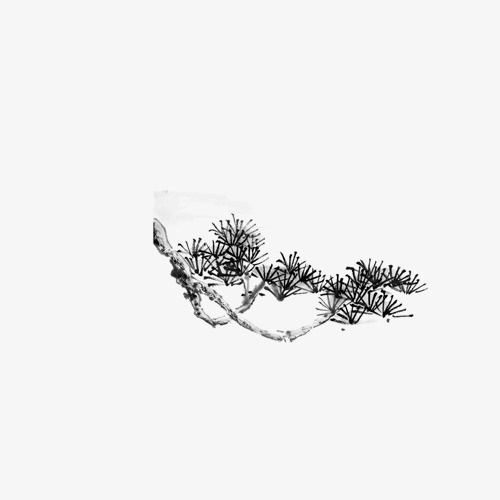 树枝免抠
