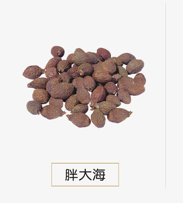 胖大海免抠