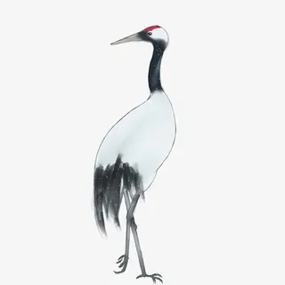 手绘中国风丹顶鹤免抠