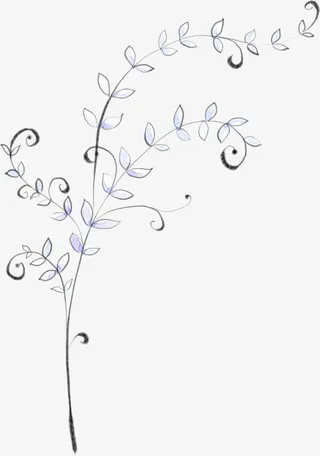 手绘花草冬季主图免抠