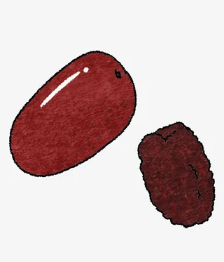 新鲜的红枣和干的红枣免抠