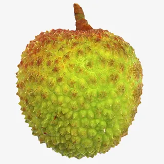 妃子笑荔枝微距特写免抠