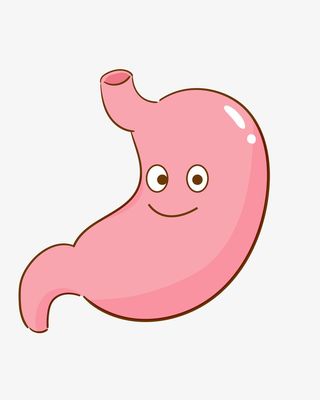 手绘人体器官胃插画免抠