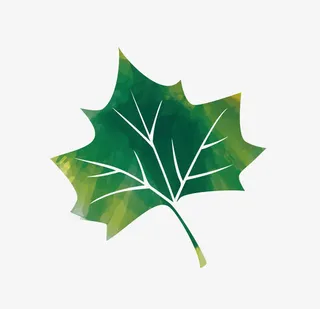 卡通绿叶PNG下载免抠