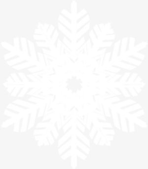 唯美白色美丽雪花免抠