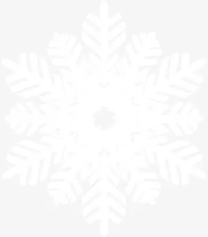唯美白色美丽雪花免抠