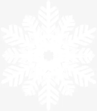 唯美白色美丽雪花免抠