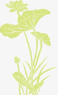 国潮植物荷花素材免抠