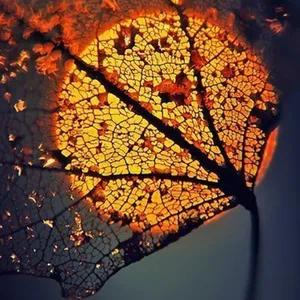 梦幻夜景高清