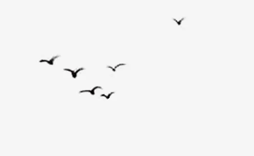 水墨大雁免抠节日端午节元素