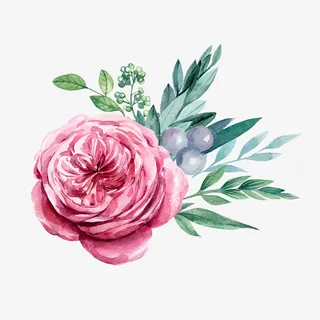 春天粉色花卉手绘免抠