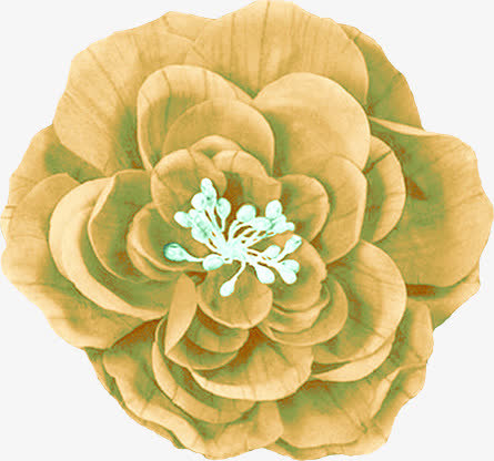 牛皮纸花卉展板素材免抠