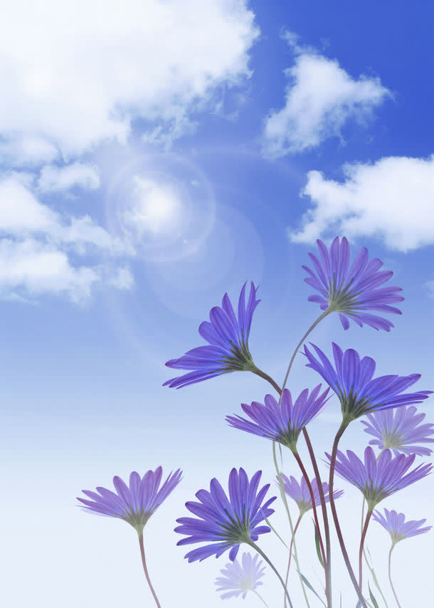 花朵免抠